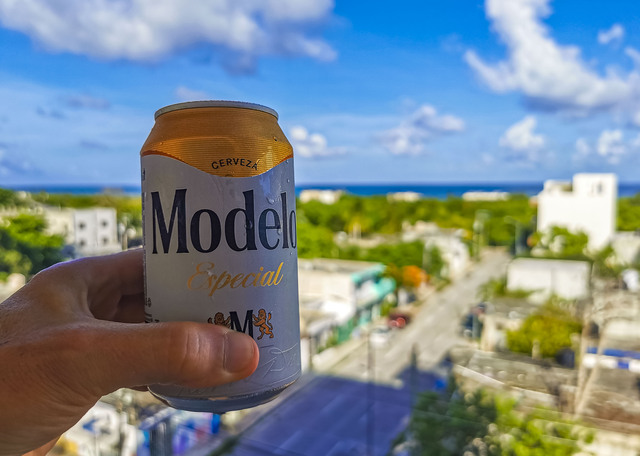 Who Owns Modelo Beer 